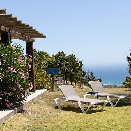 La Casa Del Burro Bed & Breakfast Nerja Bagian luar foto