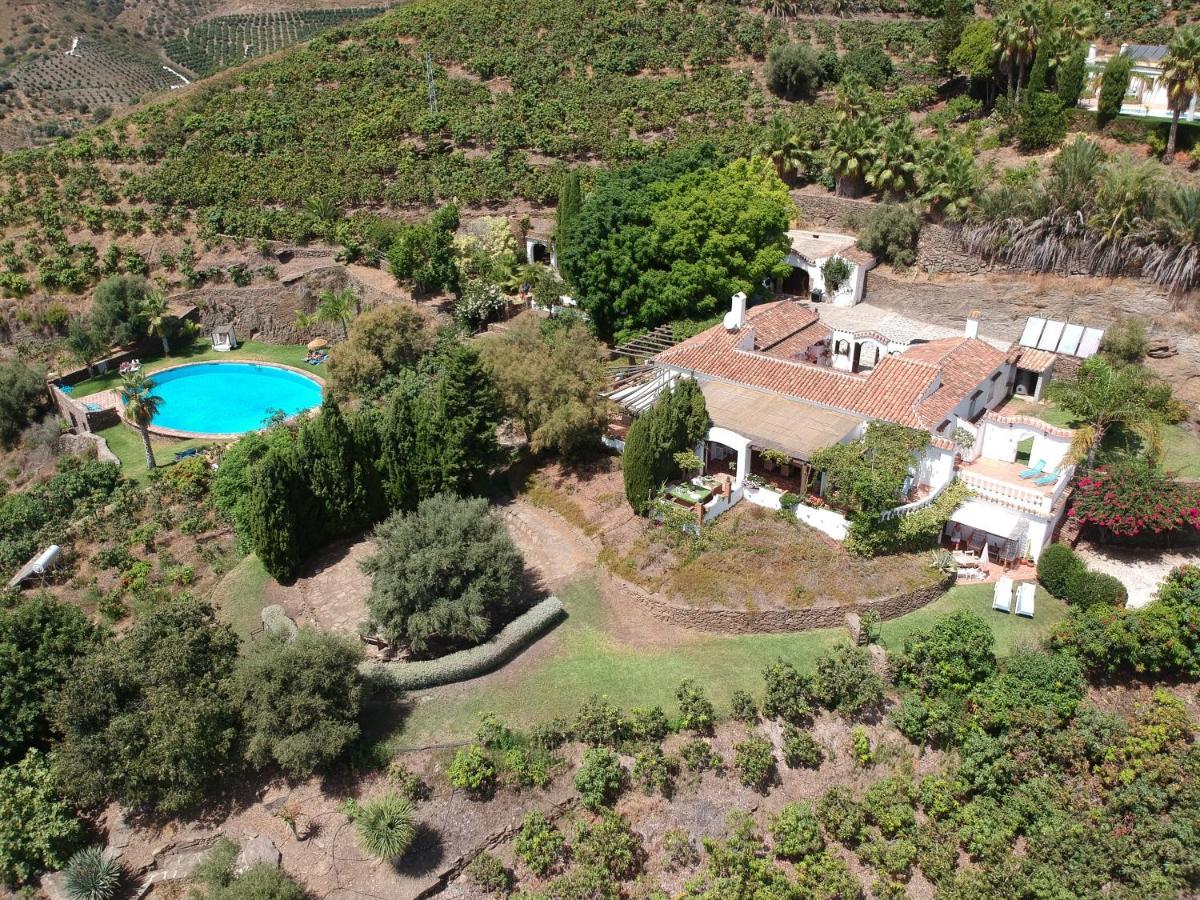 La Casa Del Burro Bed & Breakfast Nerja Bagian luar foto
