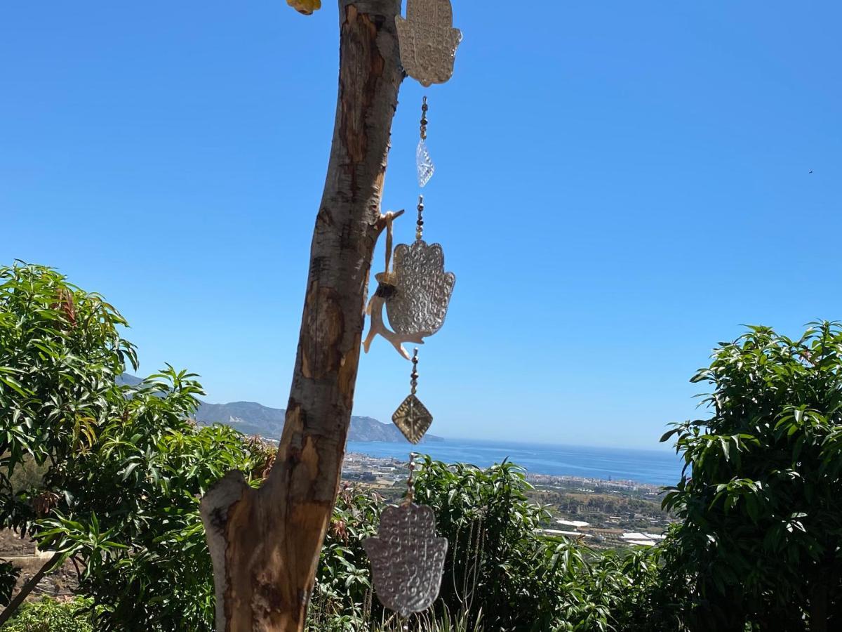 La Casa Del Burro Bed & Breakfast Nerja Bagian luar foto