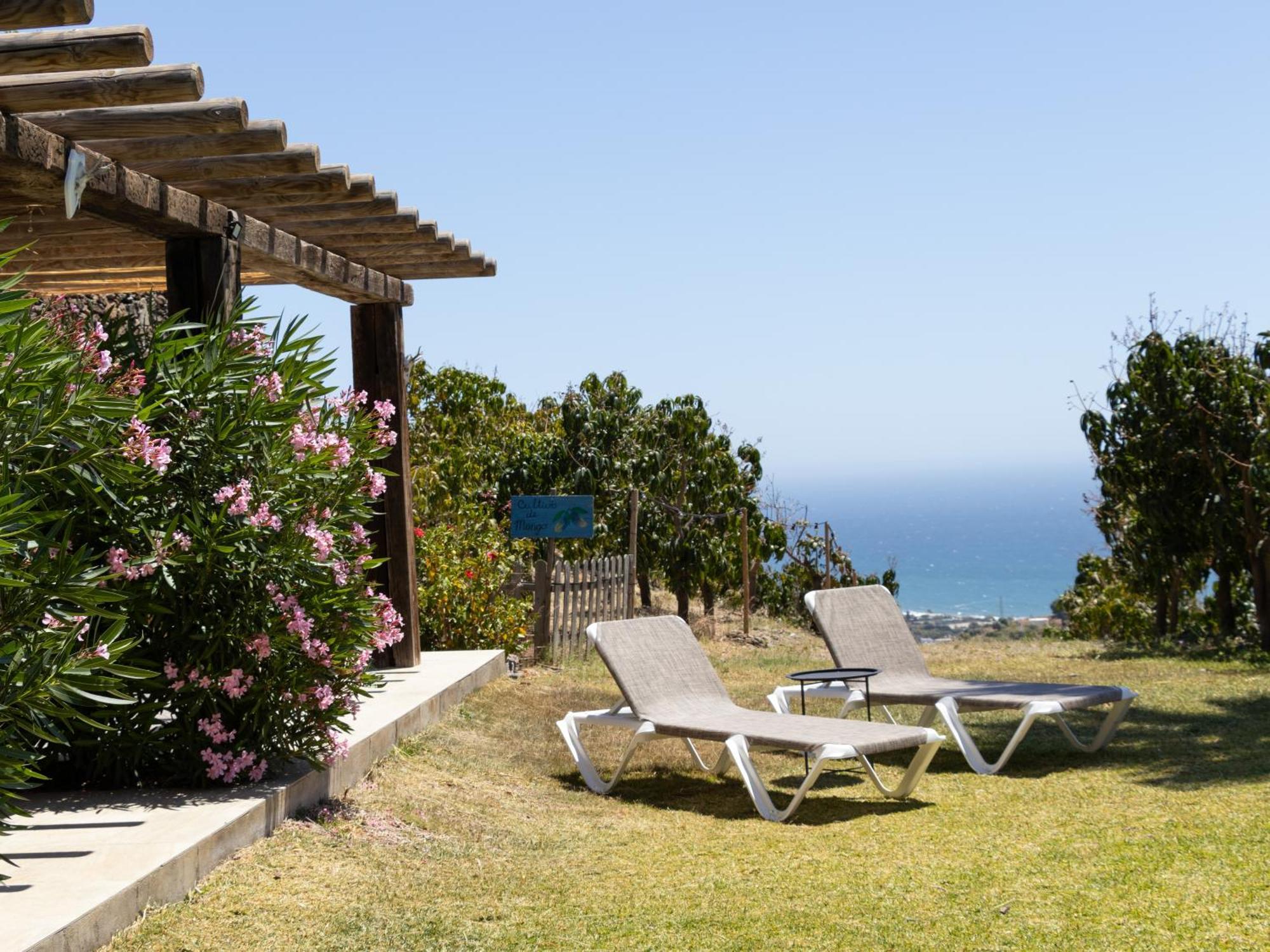 La Casa Del Burro Bed & Breakfast Nerja Bagian luar foto