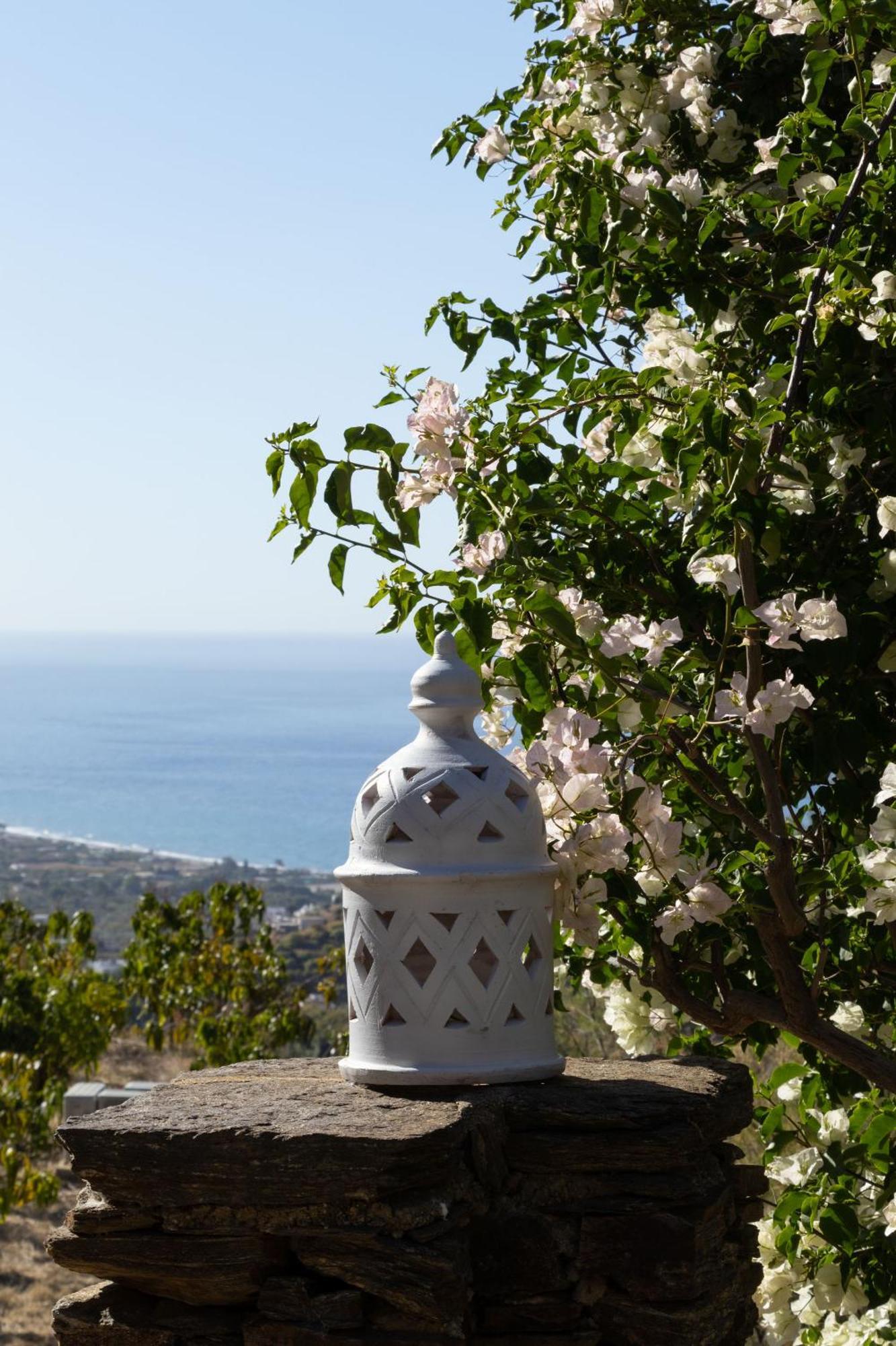 La Casa Del Burro Bed & Breakfast Nerja Bagian luar foto